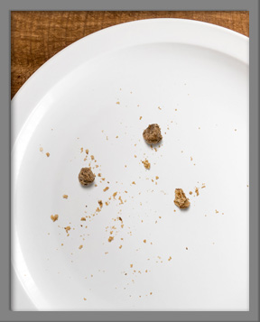 Empty plate with cookie crumbs